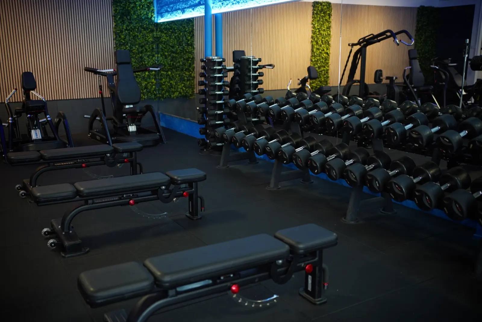 Dumbbells en banken in de free weights zone van UltraGym Hardenberg