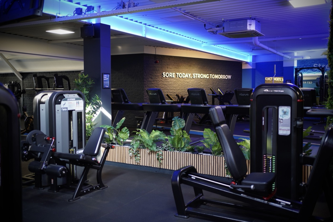 Fitnesszaal van UltraGym met loopbanden, leg press en planten