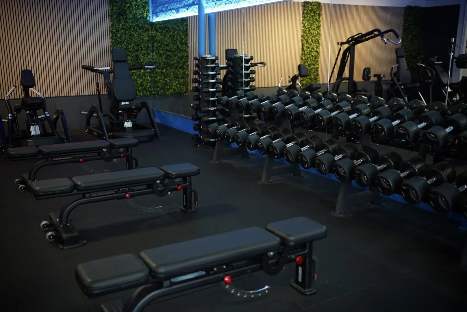 Het dumbbellrek en de trainingsbanken van UltraGym