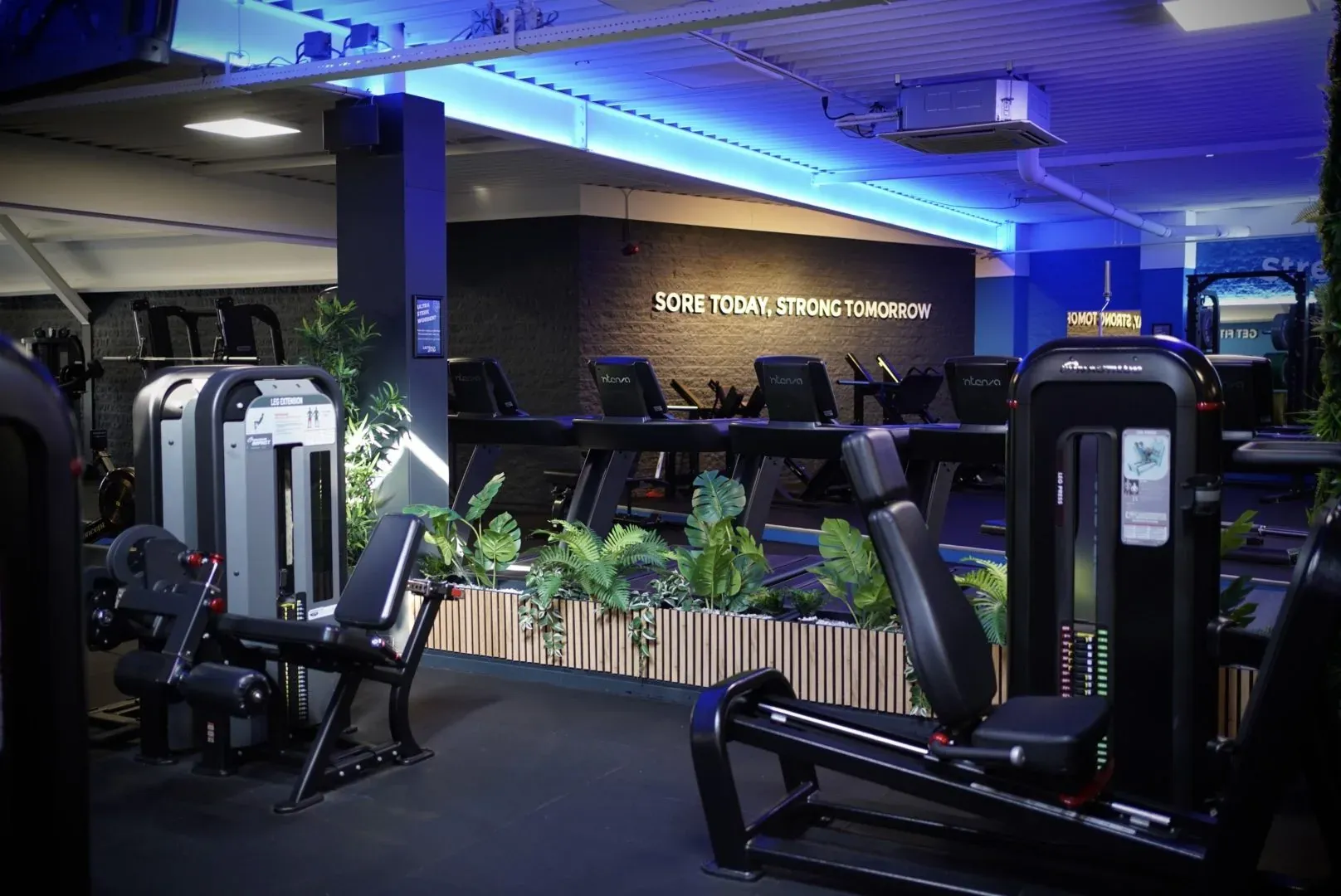 Overzicht van de trainingsvloer met de muurtekst Strong Tomorrow
